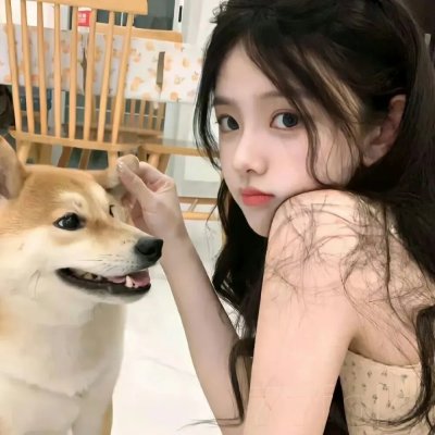 义犬记